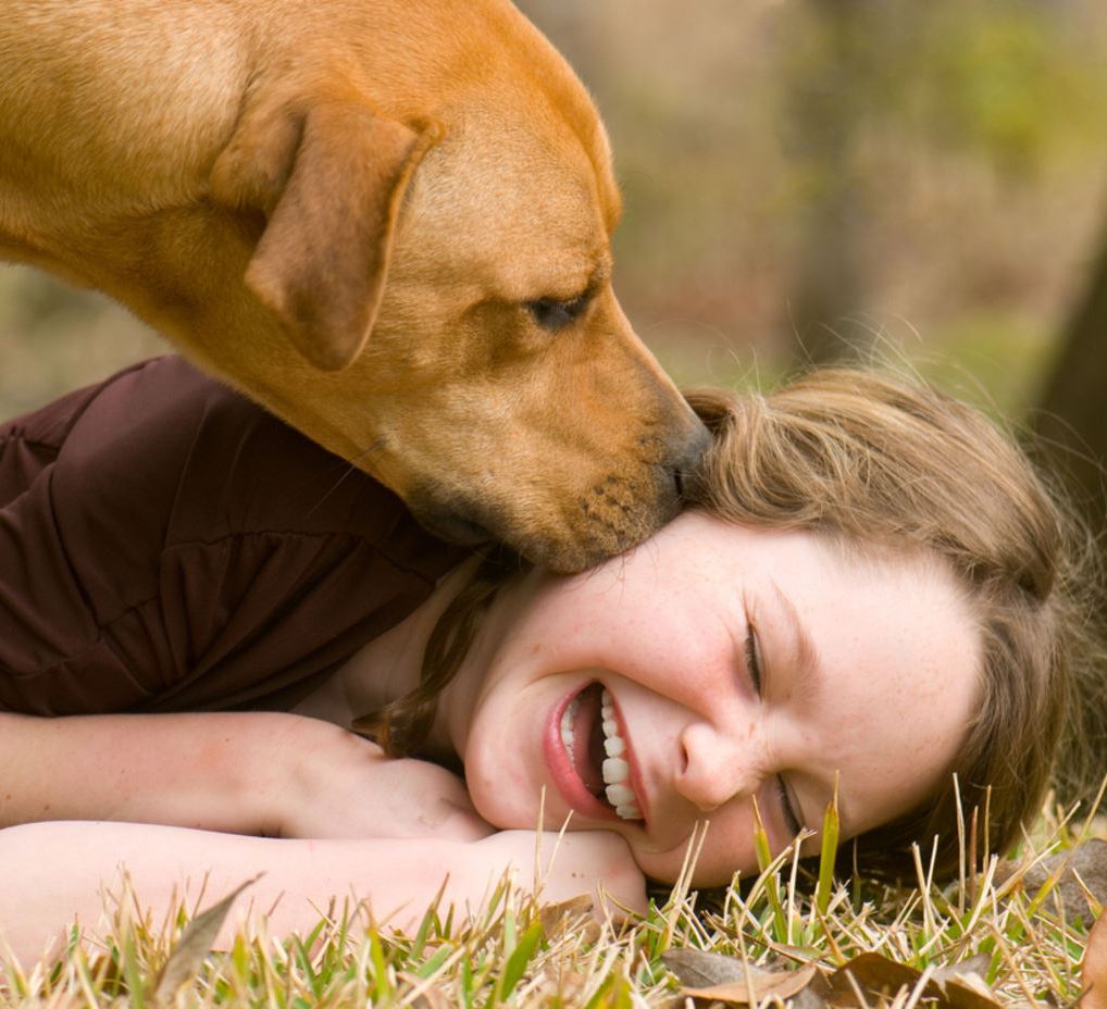 dog-profile